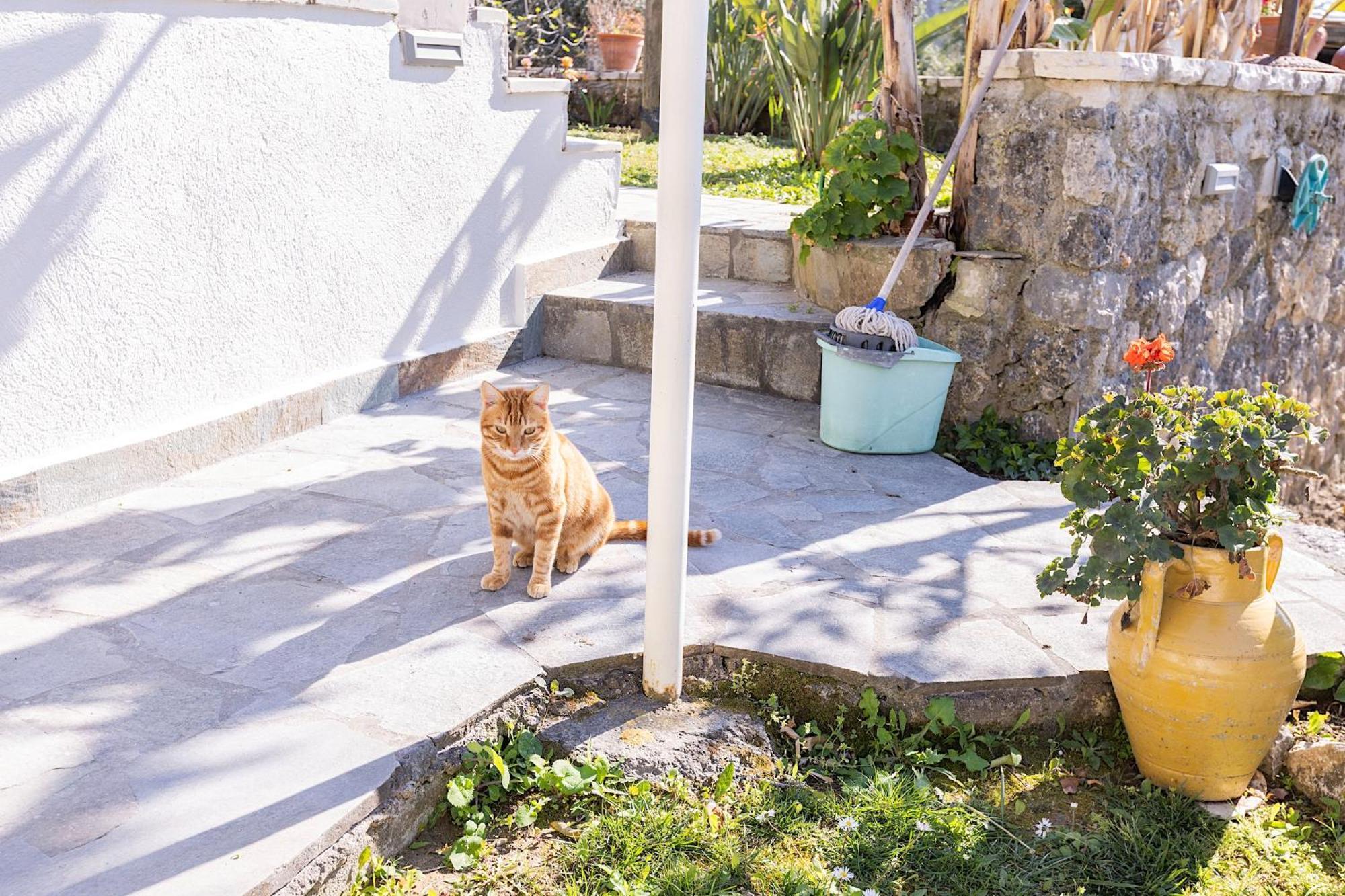 אגיוס גורדיוס Ad Homes מראה חיצוני תמונה